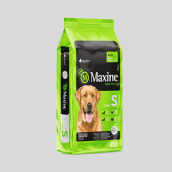 MAXINE Senior 21 kg | Alimento Premium para Perros Mayores - Bassa Pet