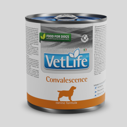 VET LIFE Canino Paté Convalescence 300g | Alimento para Perros en Recuperación | Bassa Pet