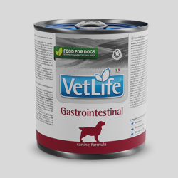 VET LIFE Canino Gastrointestinal Húmedo 300g | Alimento Digestivo para Perros | Bassa Pet
