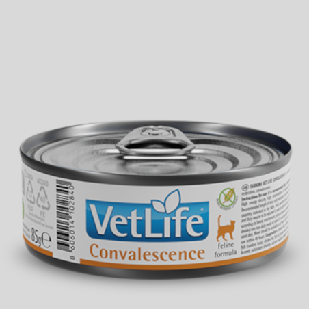 VET LIFE Felino Convalescence Húmedo 85g | Alimento para Gatos en Recuperación | Bassa Pet