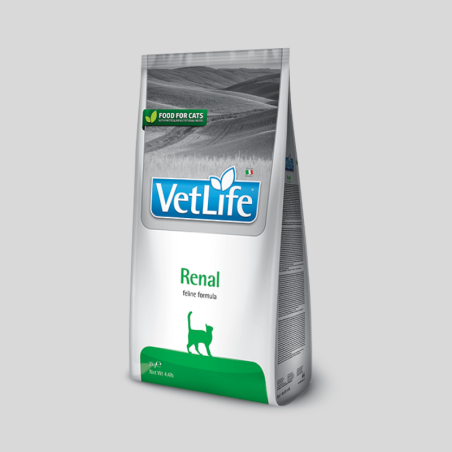 VET LIFE Felino Renal | Alimento Terapéutico para Gatos | Bassa Pet