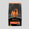 Purina PRO PLAN Sensitive Skin Salmon 15Kg  | Alimento para Perros con Piel Sensible | Bassa pet