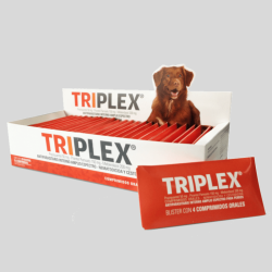 Triplex Antiparasitario Perros 4 comprimidos | Protección Eficaz | Bassa Pet