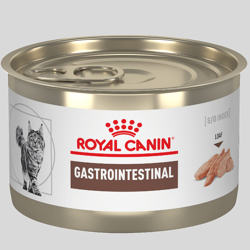 ROYAL CANIN Gato Gastro intestinal lata 145gr | Alimento para Gatos con Problemas Digestivos | Bassa Pet ROYAL CANIN Gato Gastro intestinal lata 145gr | Alimento para Gatos con Problemas Digestivos | Bassa Pet