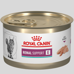 Compra ROYAL CANIN Gato Paté Renal 145g | Alimento para Gatos con Problemas Renales | Bassa Pet