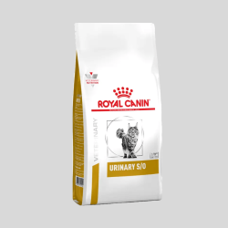 Royal Canin gato Urinary S/O | Cuidado Urinario para Gatos | Bassa Pet