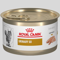 ROYAL CANIN Gato Urinary SO 145g | Salud urinaria | Bassa Pet
