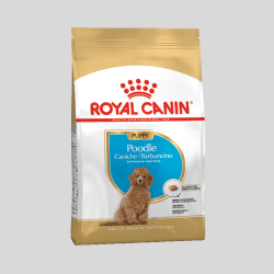 ROYAL CANIN Poodle Caniche Puppy 3 kg | Alimento Especializado para Cachorros Caniche | Bassa Pet