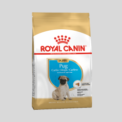 ROYAL CANIN Pug Puppy 2.5 kg | Alimento para Cachorros Pug | Bassa Pet