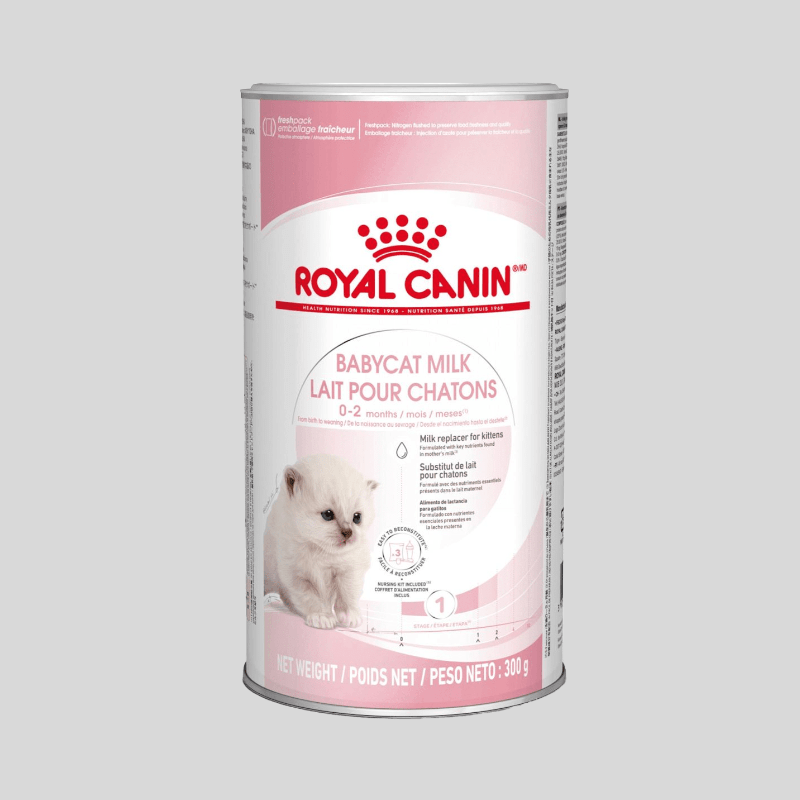 ROYAL CANIN BabyCat Milk 300g | Nutrición para Gatitos | Bassa Pet