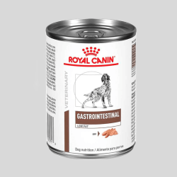 Royal Canin Canino Paté Gastrointestinal 385g | alimento gastrointestinal para perros | Bassa Pet