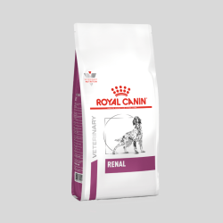 ROYAL CANIN canino Renal | Alimento para Perros con Problemas Renales | Bassa Pet