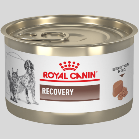 ROYAL CANIN Paté Recovery 145g | Alimento para gatos y perros en recuperación | Bassa Pet