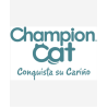 Champion Cat