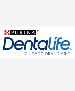 Dentalife