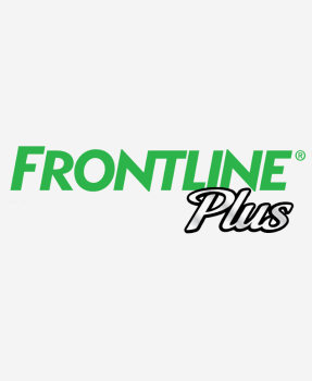 Frontline