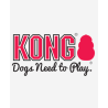 Kong