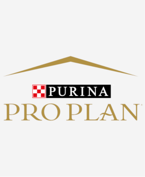 Pro Plan