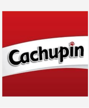 Cachupín